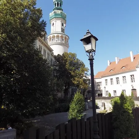 Belvarosi Erdesz-lak * Sopron